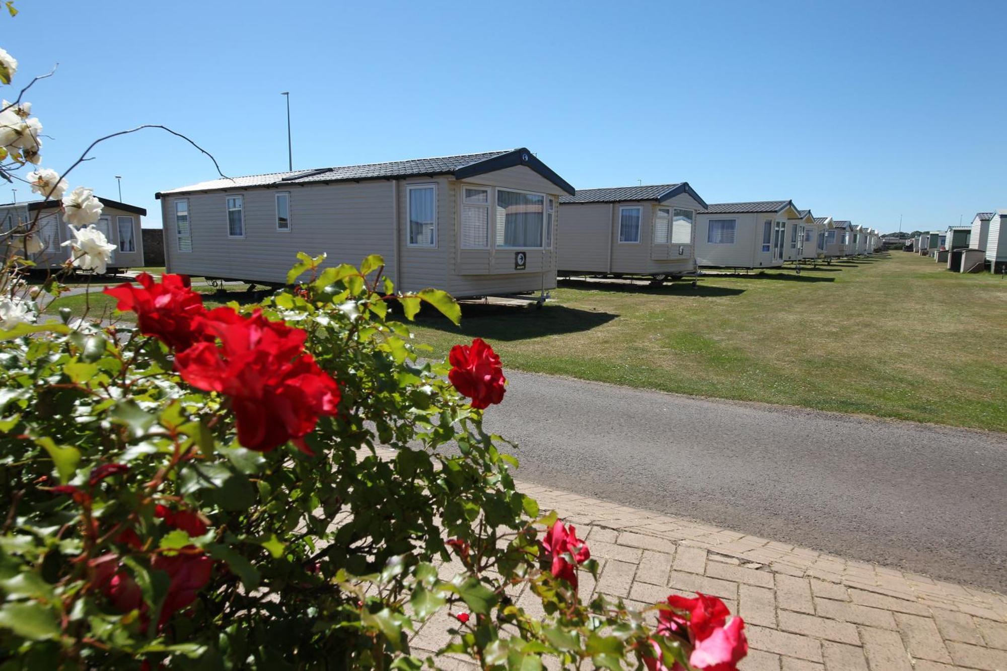 Red Lion Holiday Park Arbroath Luaran gambar